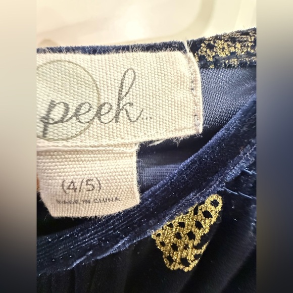 Peek Navy Velvet Dress with Gold Embroidery - Picture 4 of 5